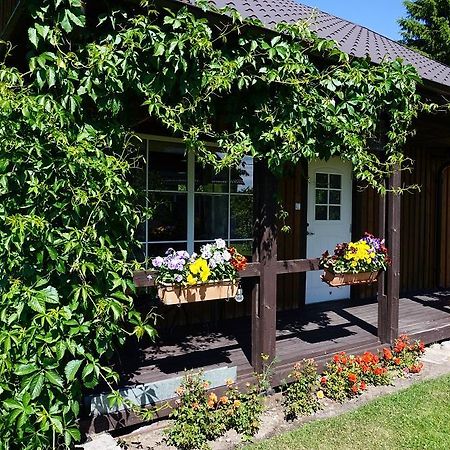 Kelluka Holiday House Pärispea Extérieur photo