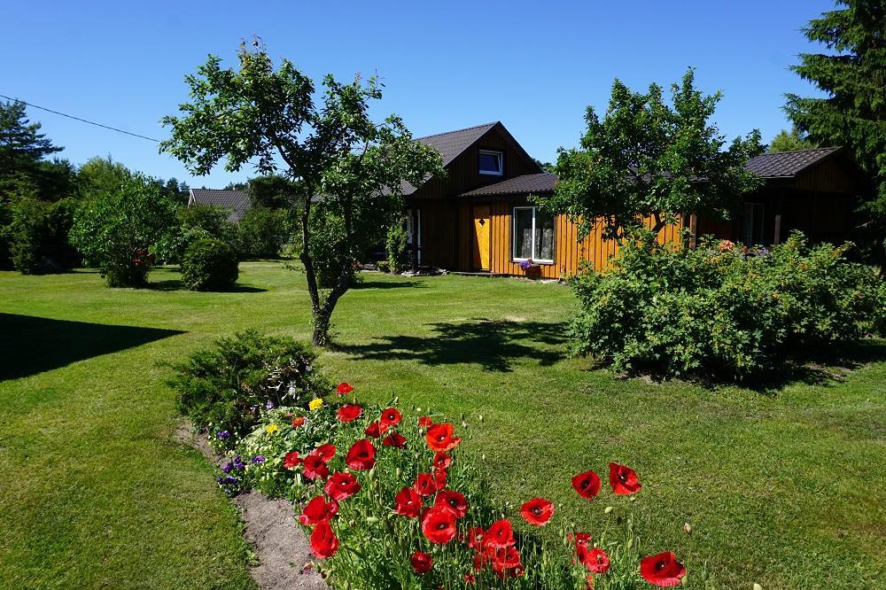 Kelluka Holiday House Pärispea Extérieur photo